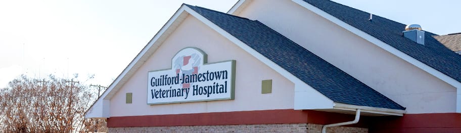 About Guilford-Jamestown Veterinary Hospital, Greensboro