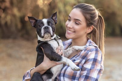 Wellness Plans and Pet Insurance, Greensboro Vet